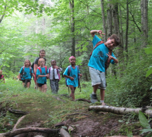 Day camp